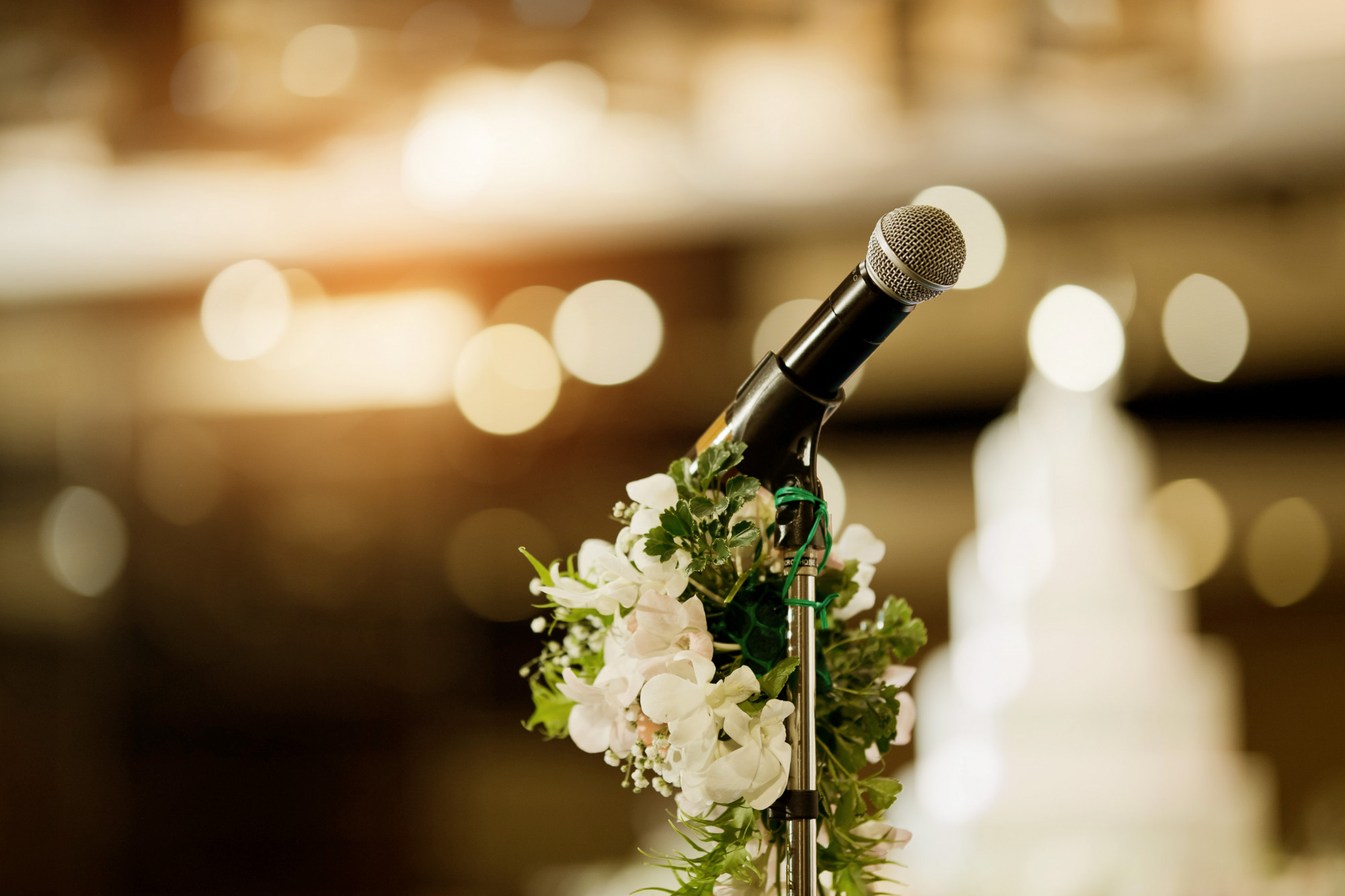 examples of wedding speeches by groom's father